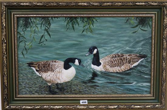 Reginald Denison oil on canvas, Canada geese, 34 x 58cm